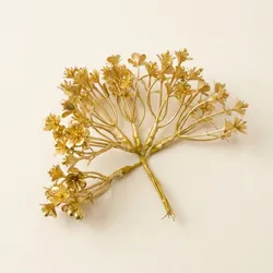 SHOP_BY_CATEGORY_Dried_Flowers__MANOHAR CRAFTS