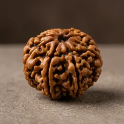 CATEGORY_Rudraksha_Items__RUDRAKSHOLOGY