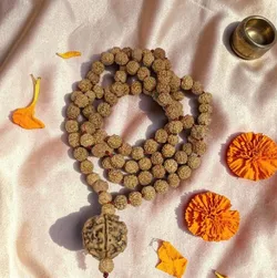 CATEGORY_ALL_PRODUCTS__RUDRAKSHOLOGY