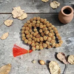 CATEGORY_NEW_ARRIVALS__RUDRAKSHOLOGY