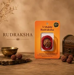 SHOP_BY_COLLECTIONS_RUDRAKSHA__GEMINO