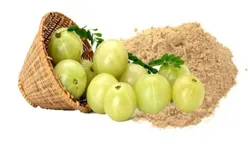 SHOP_BY_CATEGORY_HERBAL_POWDER__Vinarghya