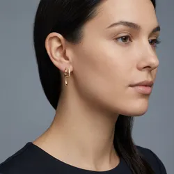 SHOP_BY_CATEGORY_EARRINGS__SHARUTIS STORE