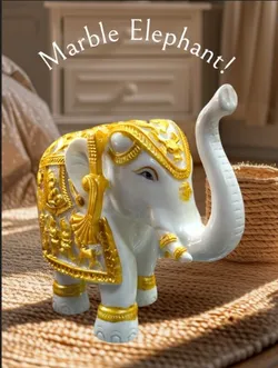 SHOP_BY_CATEGORY_VASTU_AND_FENG_SHUI__SAICHHA GIFTS