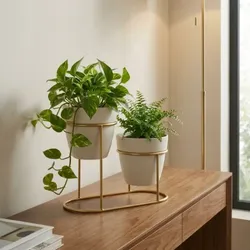 FIND_YOUR_FAVOURITES_PLANTERS__Saha Industry