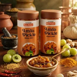 SHOP_BY_CATEGORY_Murabba_Or_Pickle__NUTRAMLA