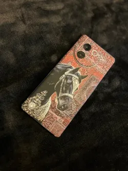 Case_Your_Style_Horse_Skin__STAR ART 