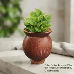 Explore_Collection_Garden_Beauty__SOUL IN SHELL