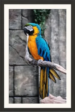 SHOP_BY_CATEGORY_BEST_SELLERS__STUDIO AVINASH
