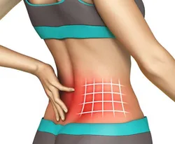 Shop_by_Concern_Back_Pain__INTELLIFIT