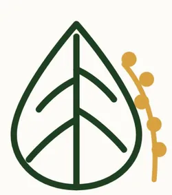 Shop_Mindfully_Seeds_and_Superfoods__THE BIG BHAANG THEORY
