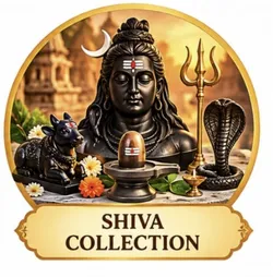 DIVINE_COLLECTION_SHIVA_COLLECTION__RISHI SHIVLING ART 