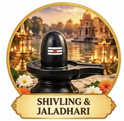 DIVINE_COLLECTION_SHIVLING_JALADHARI__RISHI SHIVLING ART 