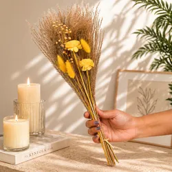 SHOP_BY_CATEGORY_Dried_Flowers__DECOR BAE
