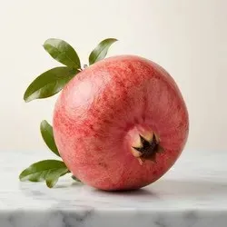 Shop_By_Categories_Fruitplants__SUKHAGAM