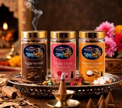 Shop_Pure_India_Trending__SWADESH'S CARTS 