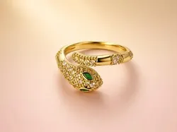 Adorn_Yourself_Ring__KALAKRITI BY SONAL