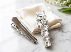Style_Your_Strands_Studded_Clips__BELLALUXE BY NIRAT
