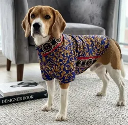 Style_And_Paws_Petwear__WOOFIEZZ