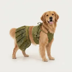 Style_And_Paws_Festive__WOOFIEZZ