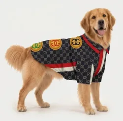 Style_And_Paws_Casuals__WOOFIEZZ