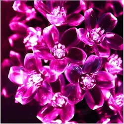Glow_and_Light_Decorative_Lights__KAVYASHINE