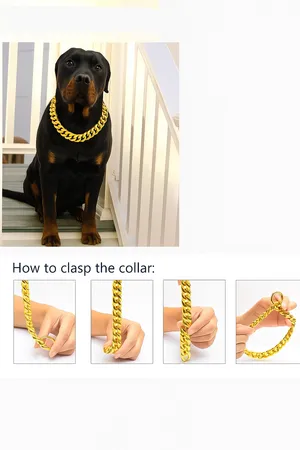 DC HUB Dog & Cat Accessories - Buy Dog & Cat Accessories from