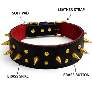 DC HUB Dog & Cat Accessories - Buy Dog & Cat Accessories from