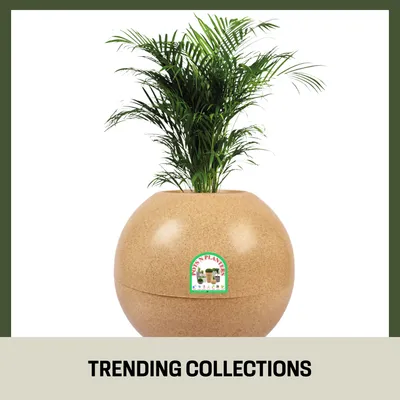 SHOP_BY_CATEGORY_undefined__undefined
