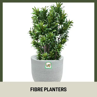 SHOP_BY_CATEGORY_undefined__undefined