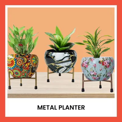 SHOP_BY_CATEGORIES_undefined__undefined