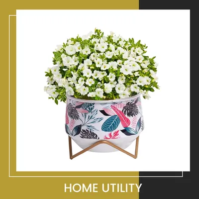 SHOP_BY_CATEGORY_undefined__undefined