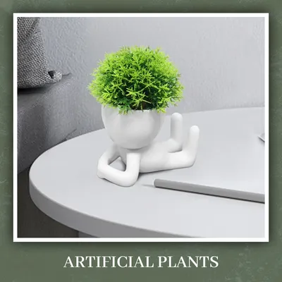 SHOP_BY_CATEGORY_ARTIFICIAL_PLANTS__undefined