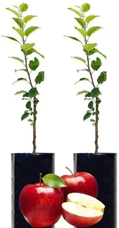 SHOP_BY_CATEGORY_undefined__undefined