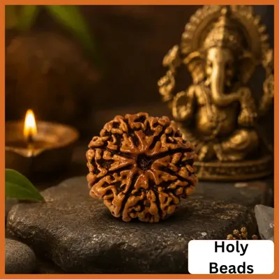 Our_Categories_undefined__undefined
