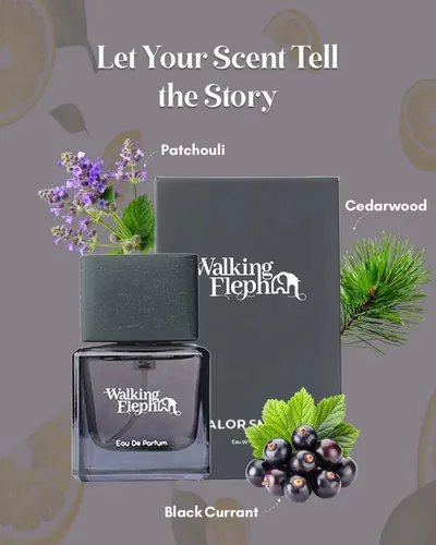 SHOP_BY_CATEGORY__undefined__undefined