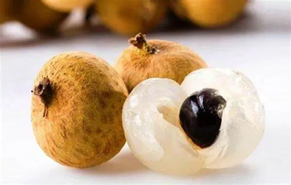 Australian_Hybrid_&_Healthy_Longon_Fruit_Plant_&_Tree_(1.5-3.5_Ft_Hight)_For_Home_Gardening