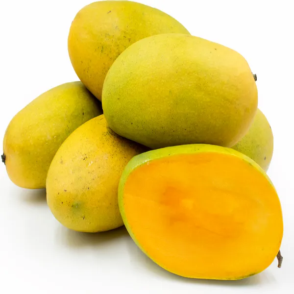 Dasheri_Mango_Grafted_Plant