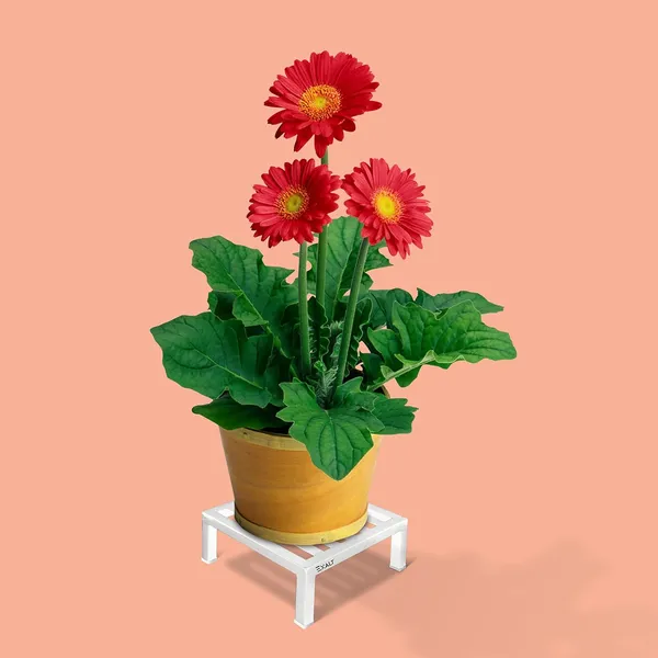 Pack_Of_2_White_Flower_Metal_Pot_Stand_For_Outdoor_Plants