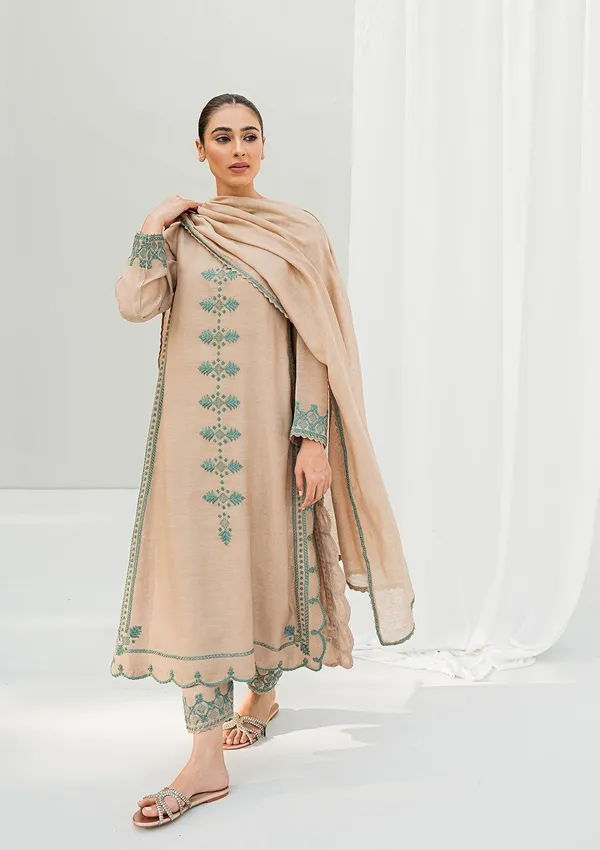 Festive_Collection_Suit