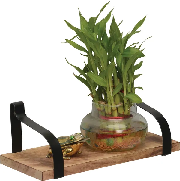 Decor_Shelves_-_Flexi_12_inch_(Set_Of_2)