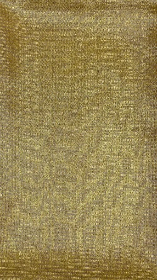 Humairah_Presents_Gold_Tissue_Single_Zari_Stripe_with_Contrast_Red_Pallu_Saree_with_Red_Blouse
