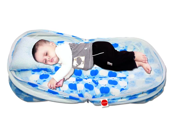 Cheeky_Cheeky_Baby_Feeding_Pillow_Bedding_Set_with_Mosquito_net_and_Sleeping_Bag_Combo_(Blue)