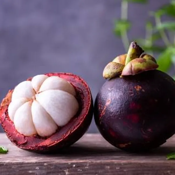 Mangosteen_Fruit_Plant