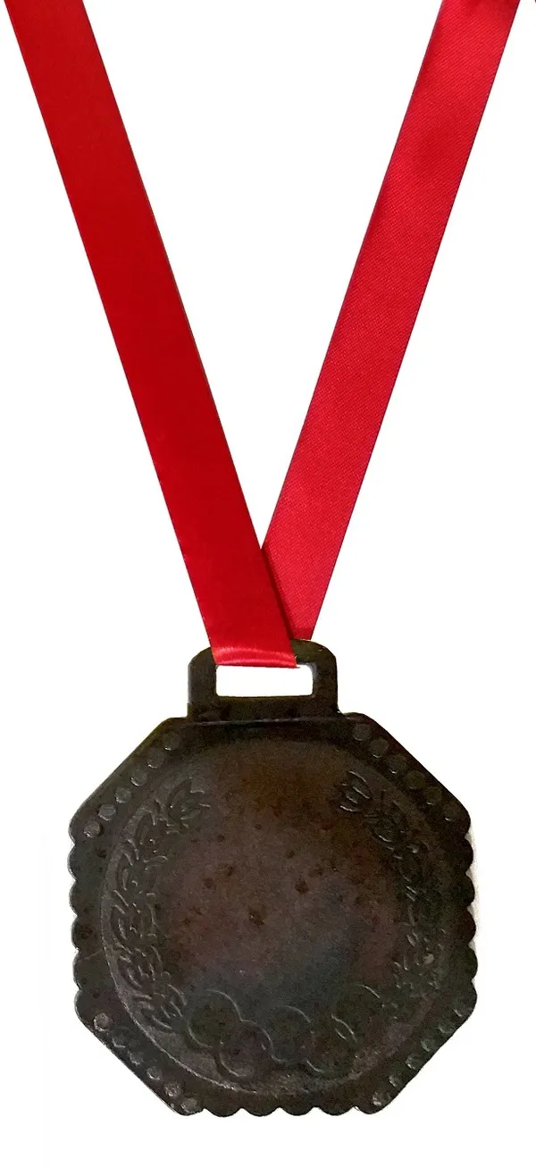 Pack_Of_12_Bee_Hive_Medals_|_With_Satin_Ribbon_|_Size_-_2.25_Inch_Dia_|_Brown