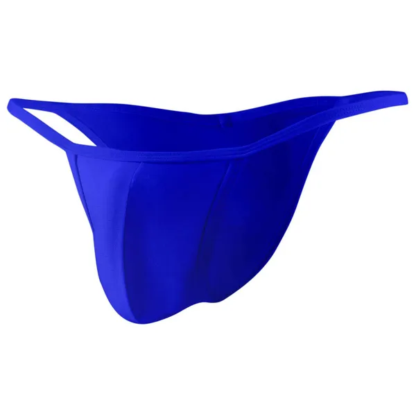 Royal_Blue_Bikini_Underwear_For_Men