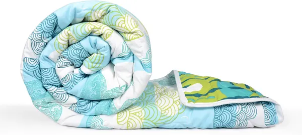 Printed_Single_Comforter_for_Mild_Winter_(Polyester,_Blue,_Green)