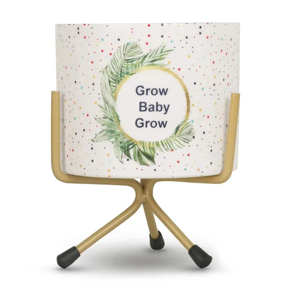 Premium_Quality_Metal_Flower_Plant_Pot_Stand