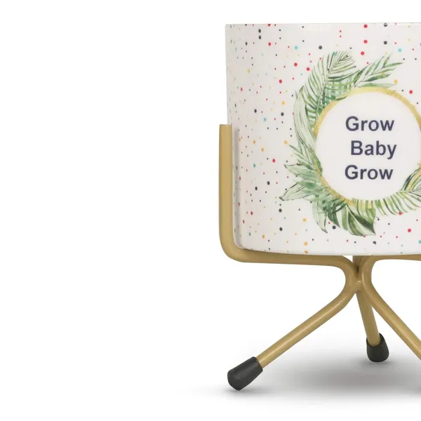 Premium_Quality_Metal_Flower_Plant_Pot_Stand