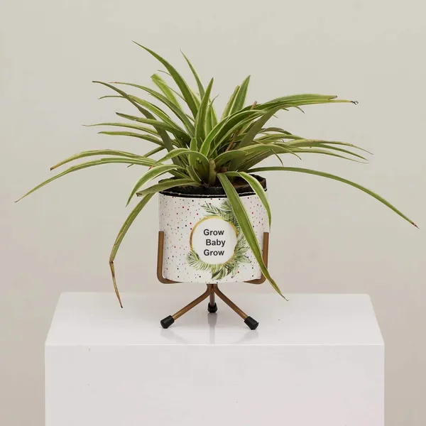 Premium_Quality_Metal_Flower_Plant_Pot_Stand